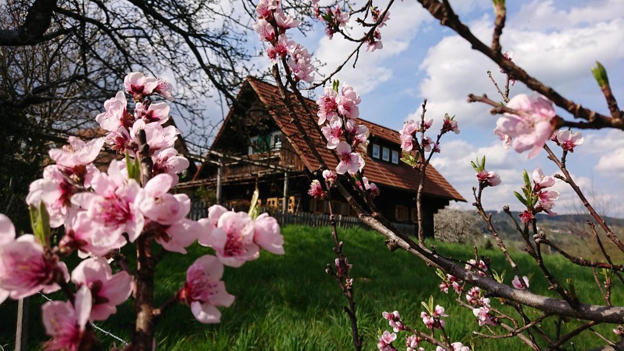 Gaestehaus Der Gamser Winzerstube Bad Gams ภายนอก รูปภาพ