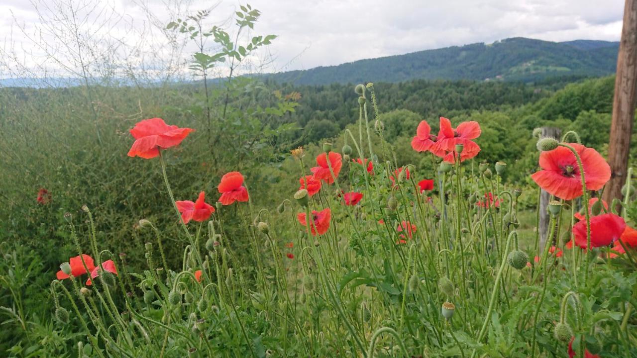 Gaestehaus Der Gamser Winzerstube Bad Gams ภายนอก รูปภาพ